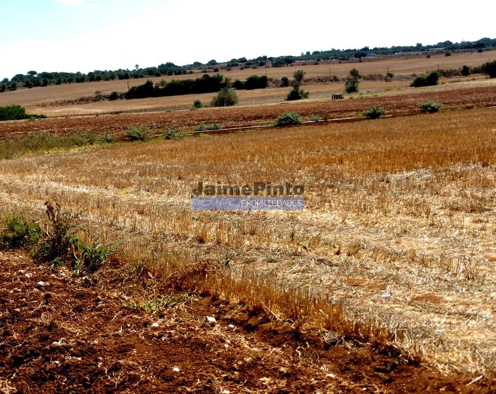 30 Hektar Ackerland mit Wasser. Portugal, Figueira de Castelo Rodrigo.