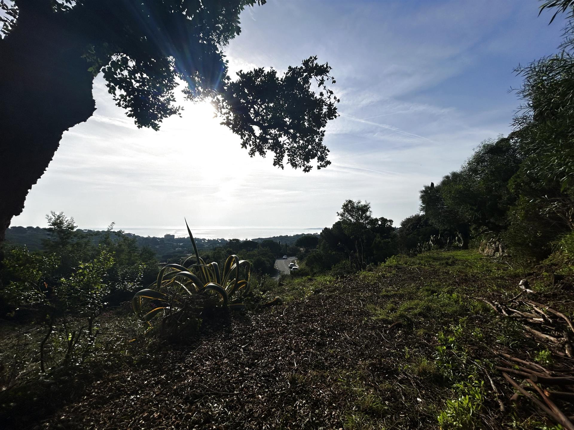 For Sale Building Land Beautiful Sea View Les Issambres Gulf Of Saint Tropez