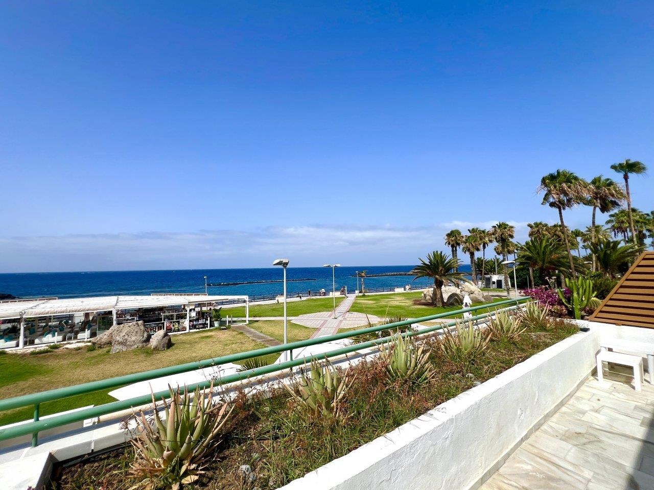 Apartment in Altamira
