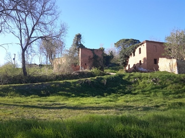 Farmhouse/Country house for sale in Asciano, renovation-Ref. 2117 v Siena village