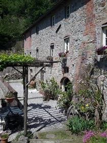V 12016 rustic house in Lucca