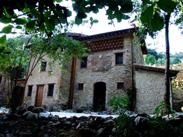 V 492022 rustic house in Massarosa hills