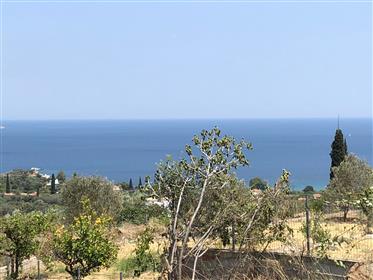 Plot with view at Lemonforest 