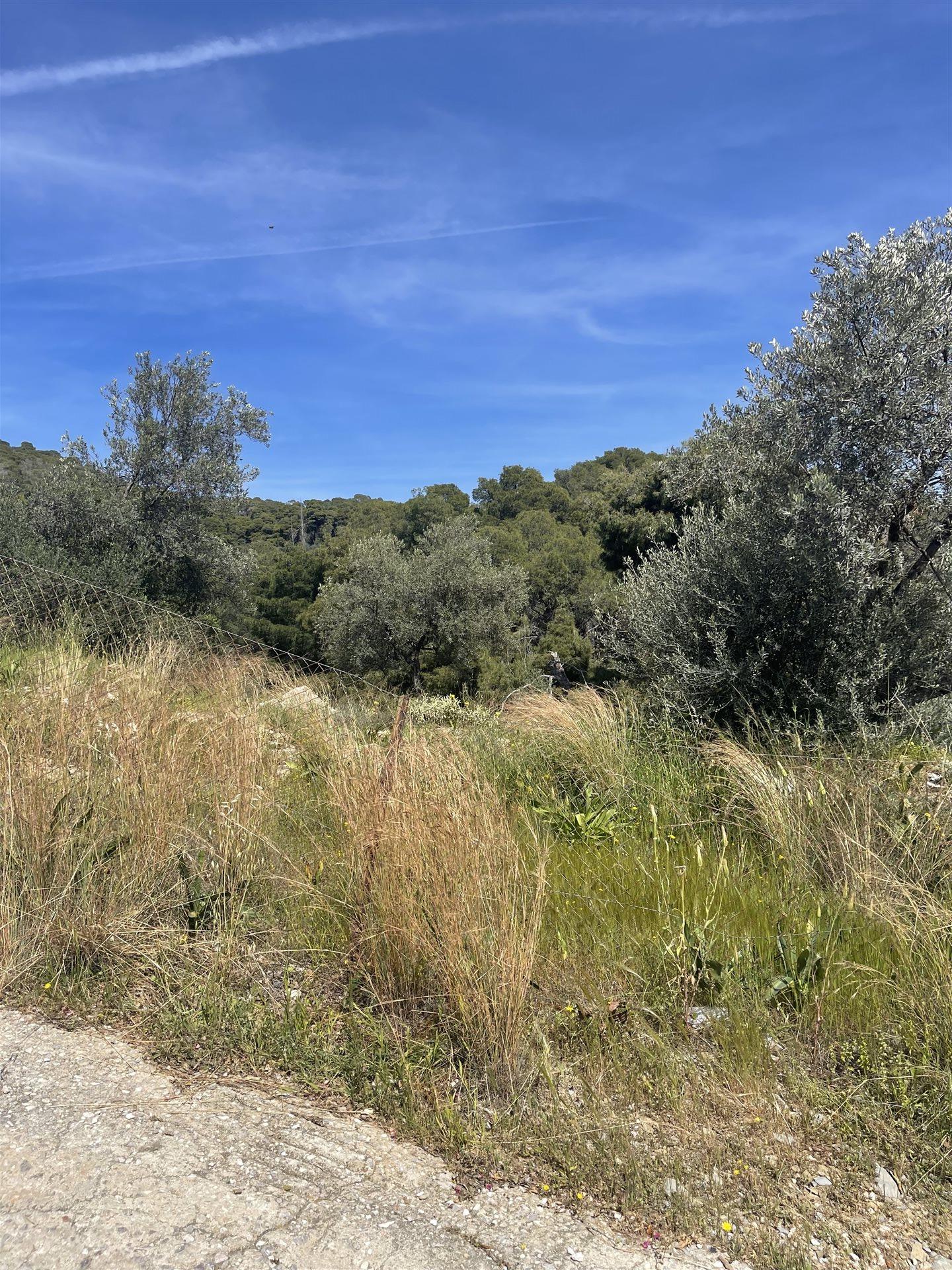 Byggeklar grund med havudsigt på Porosøen