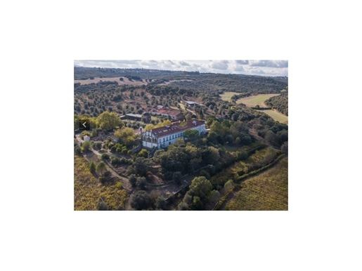 Farm for sale in Tomar