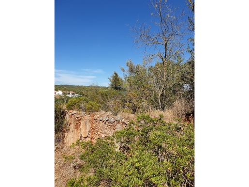 Rustic land with ruin with the possibility of building a single store house up to 300m2