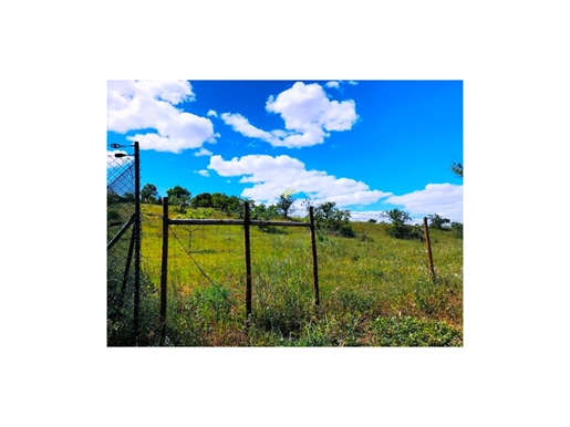 Ausgezeichnetes Land im Landmit rustikalem Land mit 19.000 m2 in Poo das Canas, Guia, Albufeira
