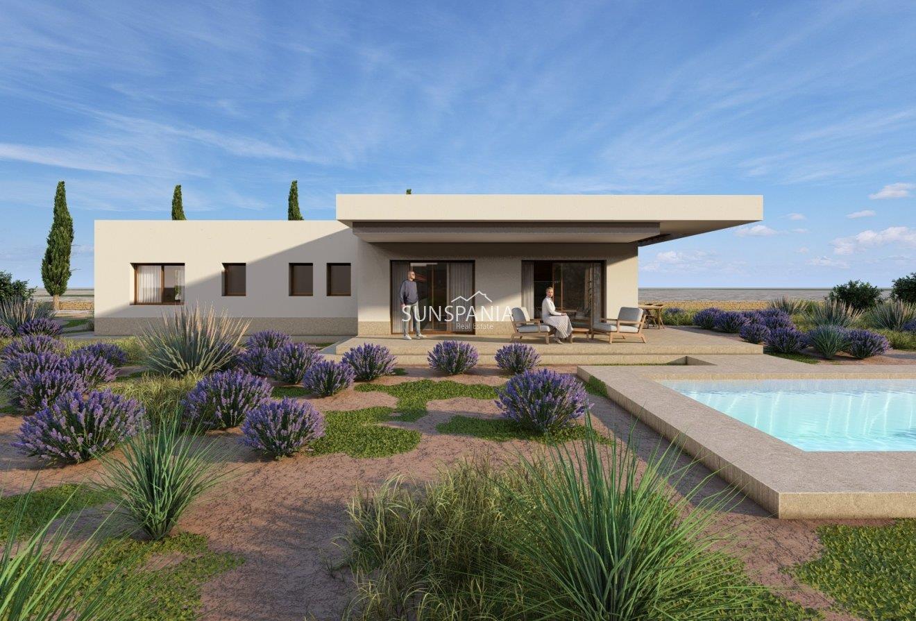 Purchase: House (03650)