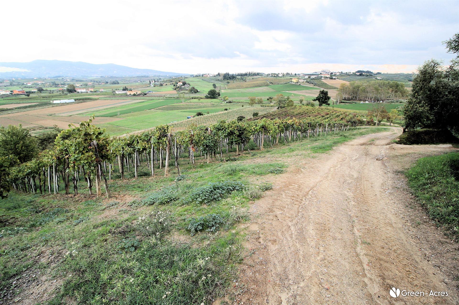 Granja, Toscana, Florencia, Cerreto Guidi