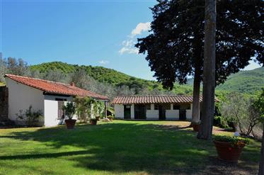 Villa for sale, Tuscany, Castiglion Fiorentino