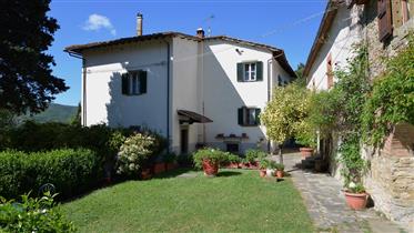 Villa à vendre, Toscane, Castiglion Fiorentino