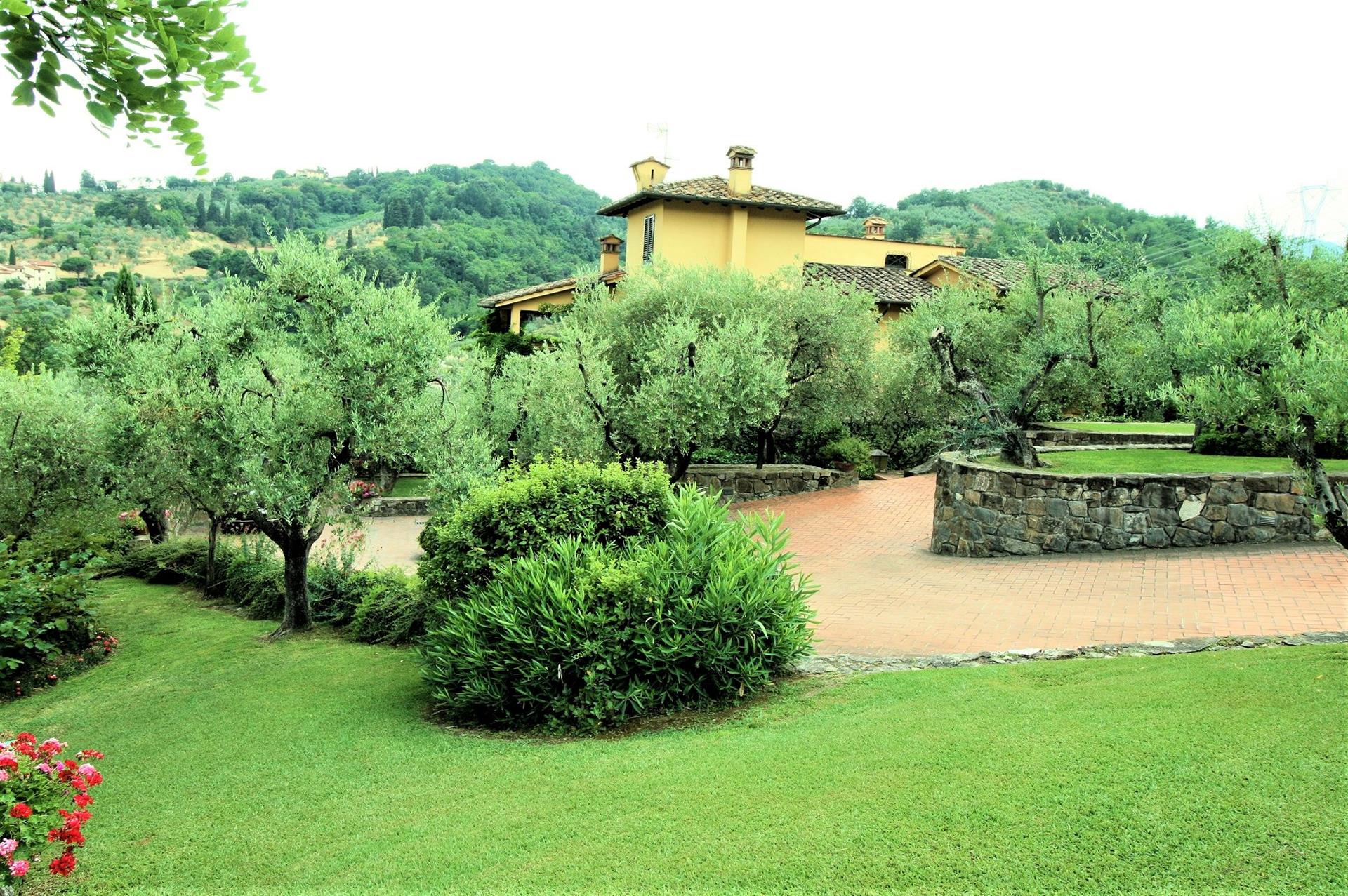 Villa with pool and vineyards close to Florence