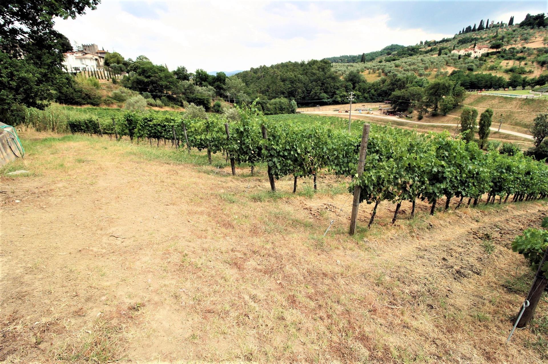 Villa with pool and vineyards close to Florence