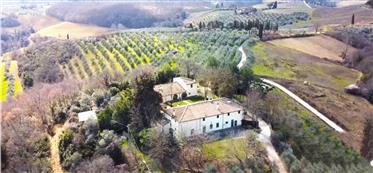Villa and farmhouse with vineyard in Chianti Area