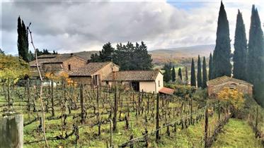 Farmhouse with vineyard close to Chianti area