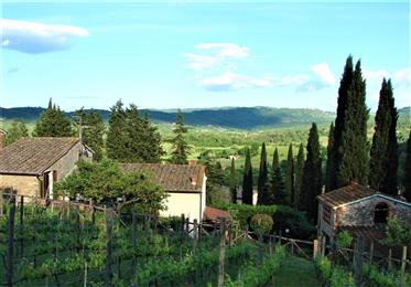 Farmhouse with vineyard close to Chianti area