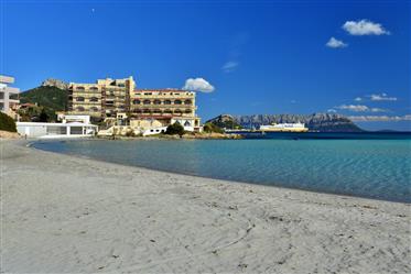 Golfo Aranci appartement avec solarium à quelques pas de la mer