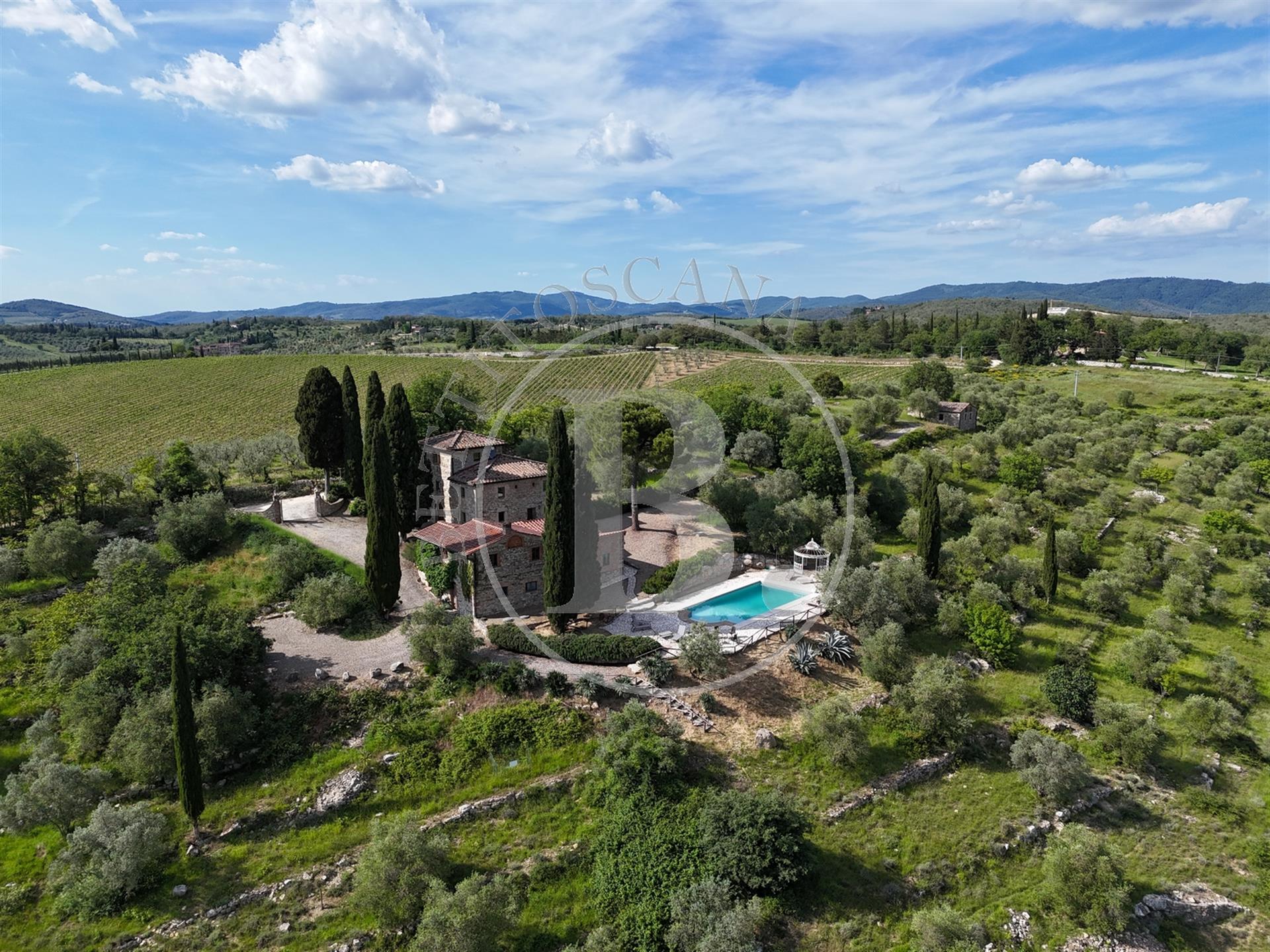 Chianti farmhouse with outbuildings surrounded by 13 hectares of land, boasting an olive grove, and 