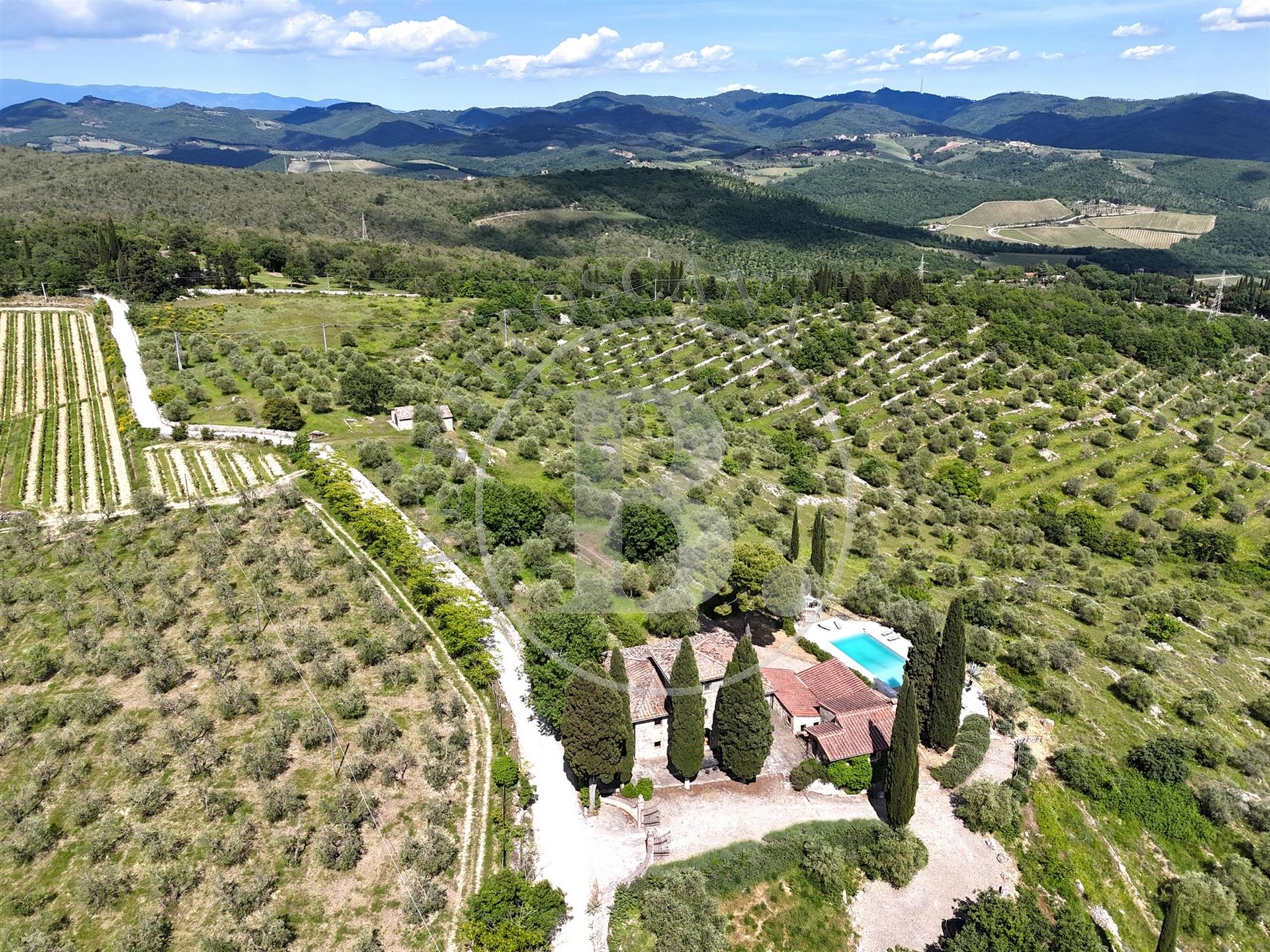 Chianti farmhouse with outbuildings surrounded by 13 hectares of land, boasting an olive grove, and 