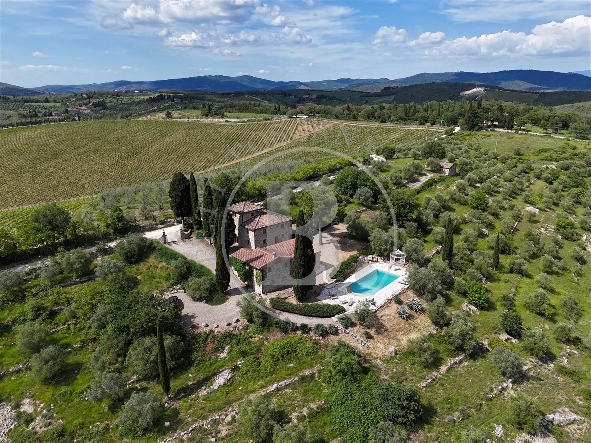 Chianti farmhouse with outbuildings surrounded by 13 hectares of land, boasting an olive grove, and 