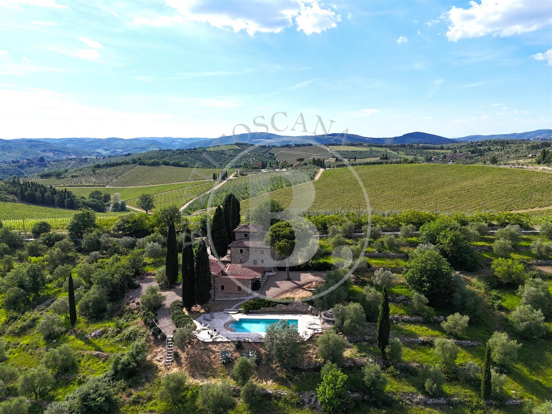 Chianti farmhouse with outbuildings surrounded by 13 hectares of land, boasting an olive grove, and 