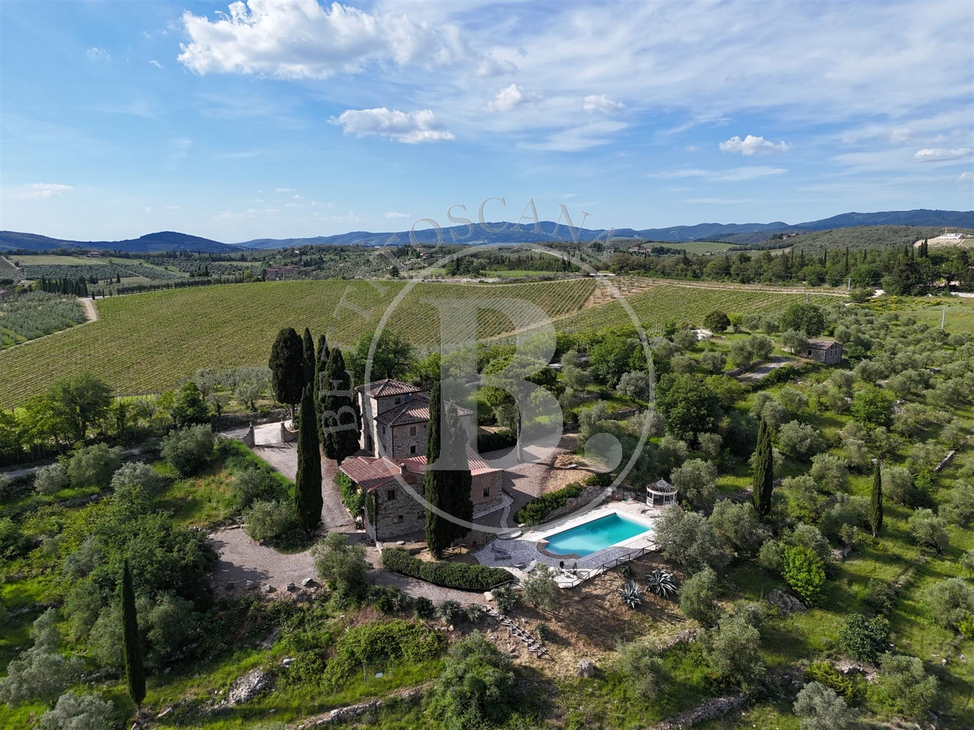 Chianti farmhouse with outbuildings surrounded by 13 hectares of land, boasting an olive grove, and 
