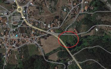 Land for sale in Alcobaça