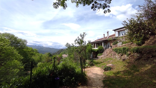 South Ardèche, piękny kamienny dom, odnowiony, 4 sypialnie, basen i 3 hektary ziemi
