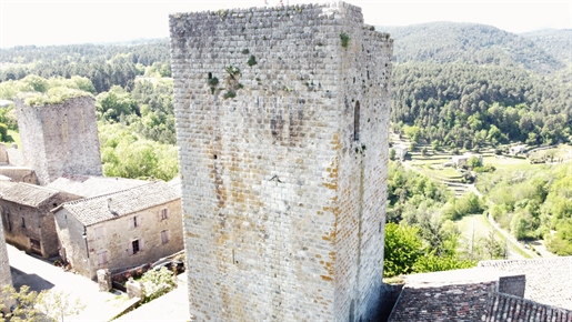 Ardèche Zuid, kasteel van de XII eeuw authentiek en gerenoveerd, met een modern huis.