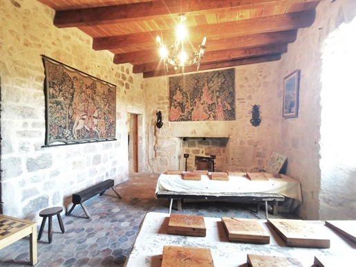 Ardèche Zuid, kasteel van de XII eeuw authentiek en gerenoveerd, met een modern huis.