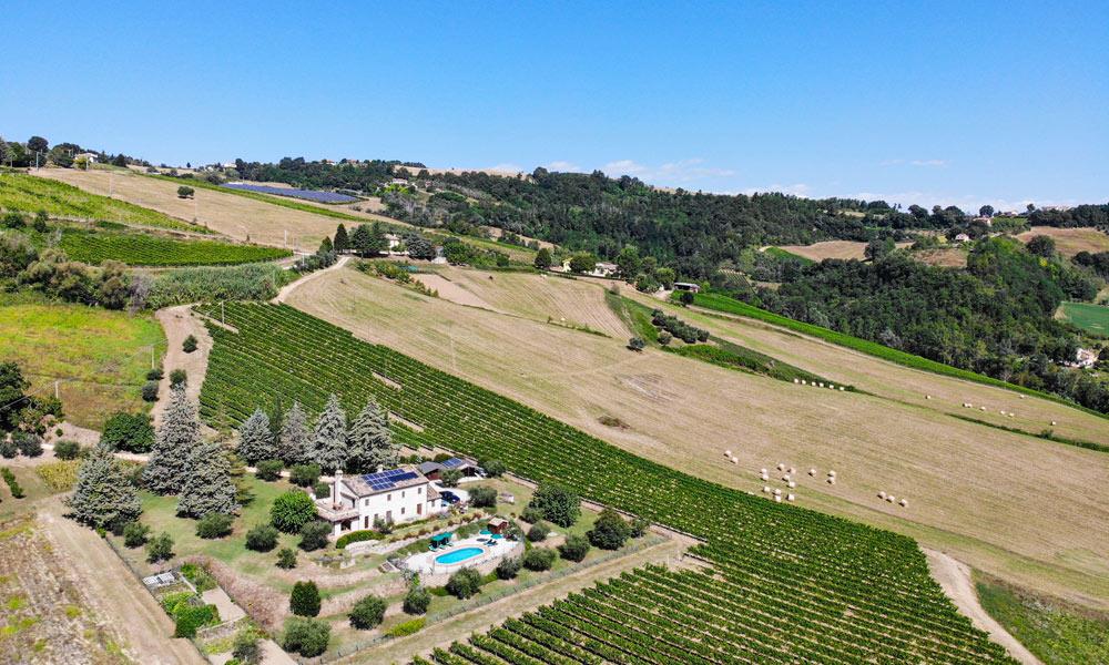 Country House With Award-Winning Vineyards, Le Marche