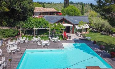 A Dream Location To Match Family & Business, Le Marche