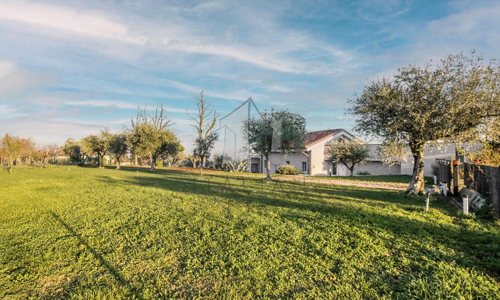 Luxury Modern Villa with Vineyard Views in Veneto, Italy