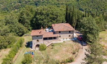 Amazing Farmhouse With Tower And Vineyard in Tuscany