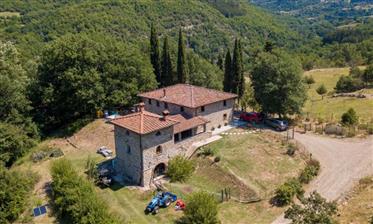Amazing Farmhouse With Tower And Vineyard in Tuscany