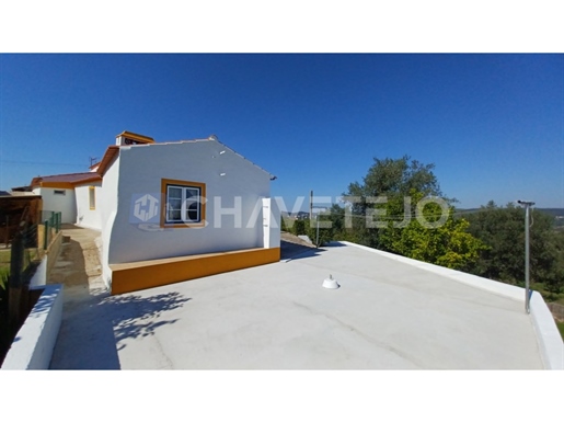 Charming villa with garage and land 10 minutes from Constância.