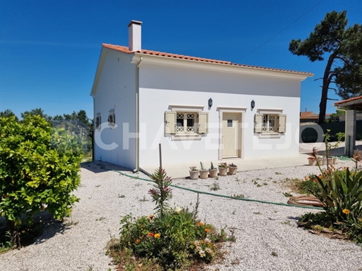 Beautiful 3-bedroom cottage with separate annex for sale on outskirts of Tomar central Portugal