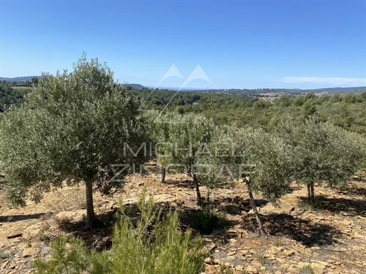 Sublime Propriété Oleo-Viticole En Provence