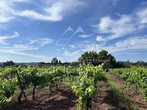 Un Outil De Production Au Coeur Du Triangle D'or Des Côtes De Provence