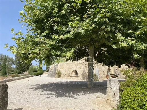 Exceptional Vineyard Estate In The Luberon