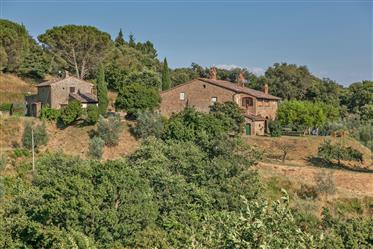 Landhaus mit Grundstück in Siena, Toskana