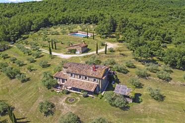 Farmhouse annex, swimming pool, land for sale Tuscany Arezzo