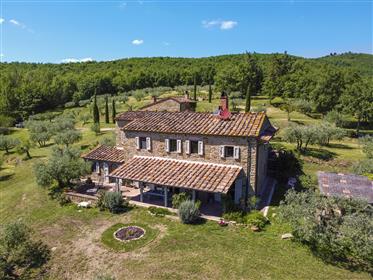 Farmhouse annex, swimming pool, land for sale Tuscany Arezzo