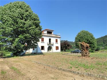 Farm with large mansion in Penafiel - Farm with large mansion