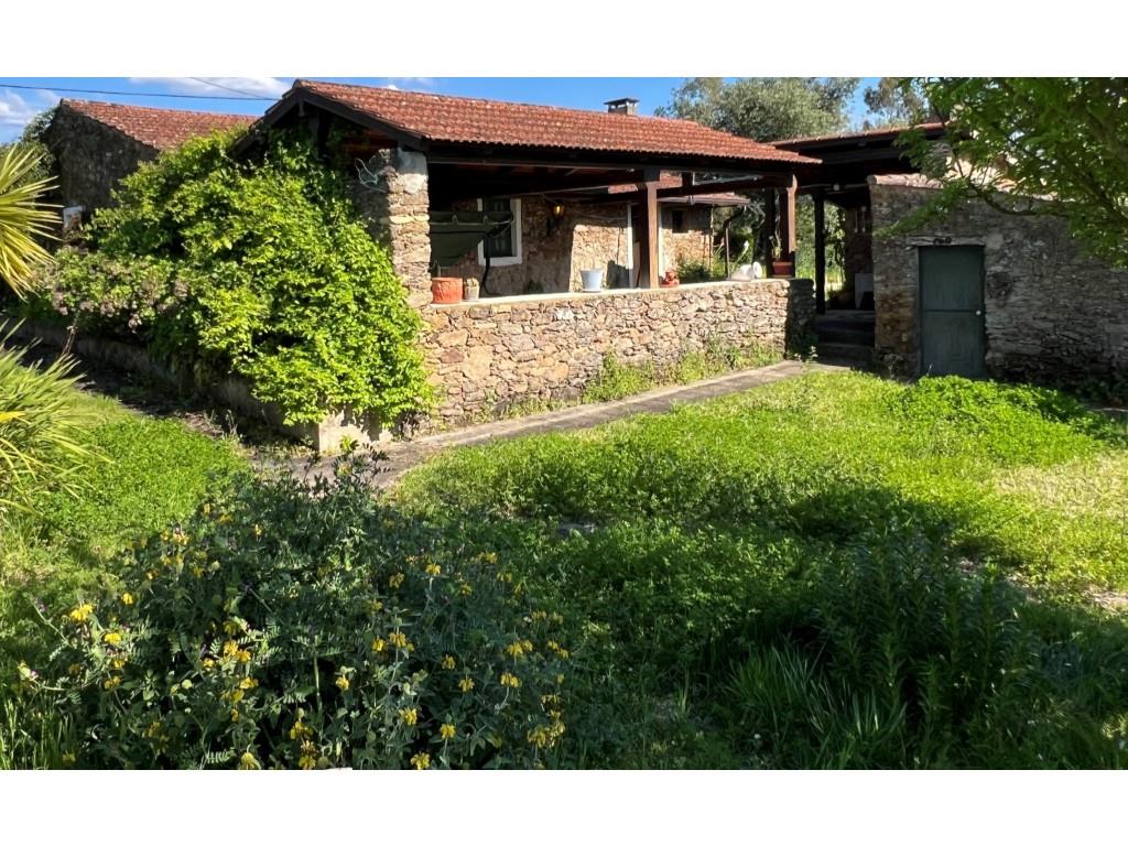 Small farm with rustic house T3+1, near the Castelo do Bode Dam