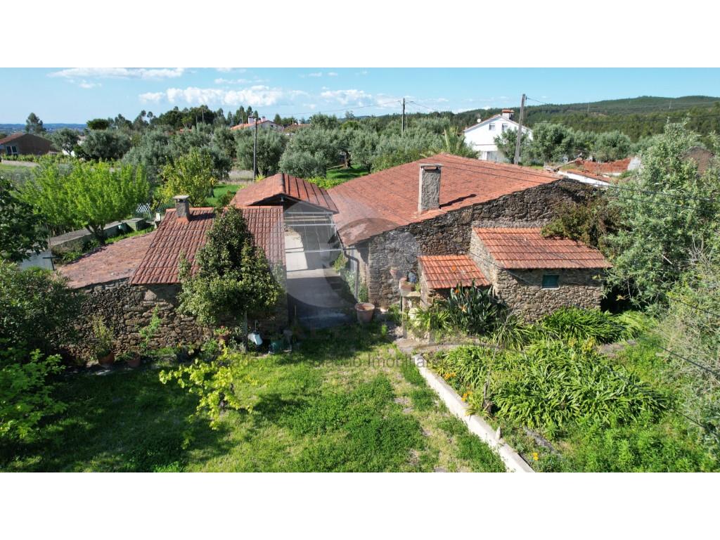Small farm with rustic house T3+1, near the Castelo do Bode Dam