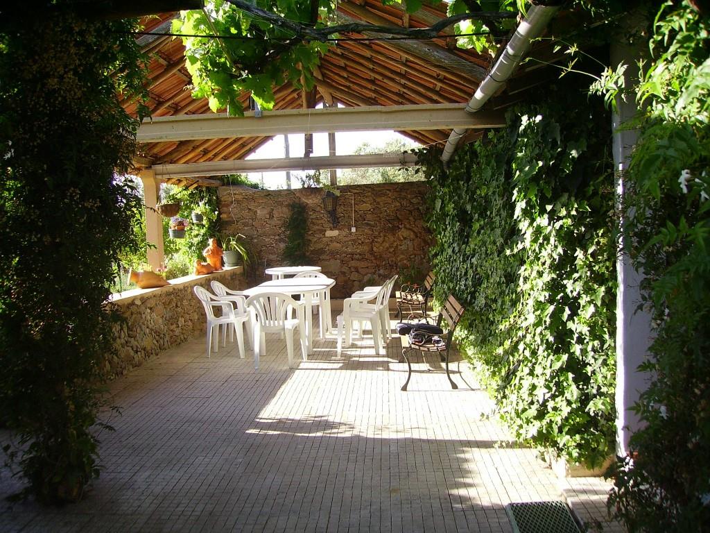 Small farm with rustic house T3+1, near the Castelo do Bode Dam