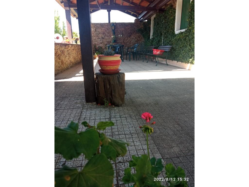 Small farm with rustic house T3+1, near the Castelo do Bode Dam