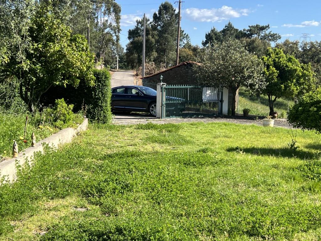 Small farm with rustic house T3+1, near the Castelo do Bode Dam