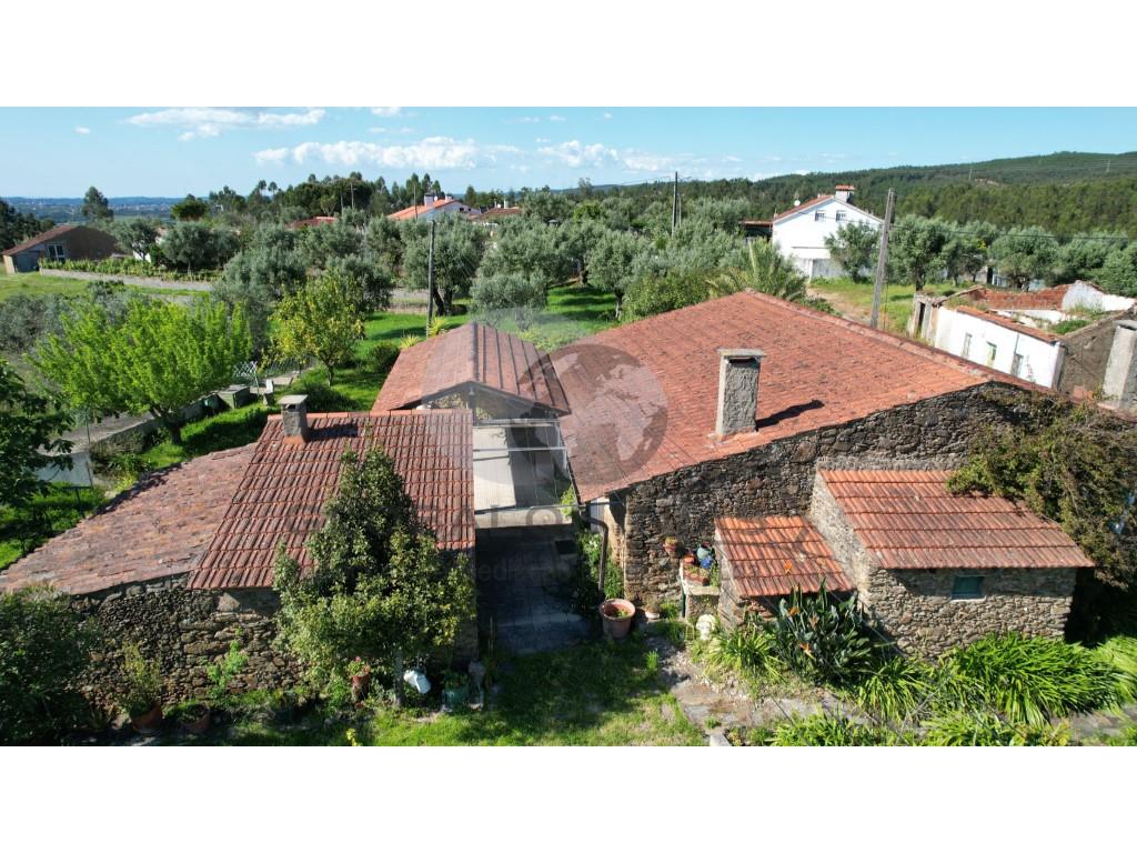 Small farm with rustic house T3+1, near the Castelo do Bode Dam